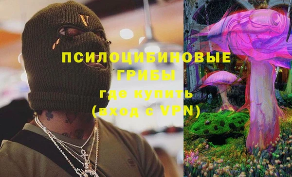 ешки Вяземский